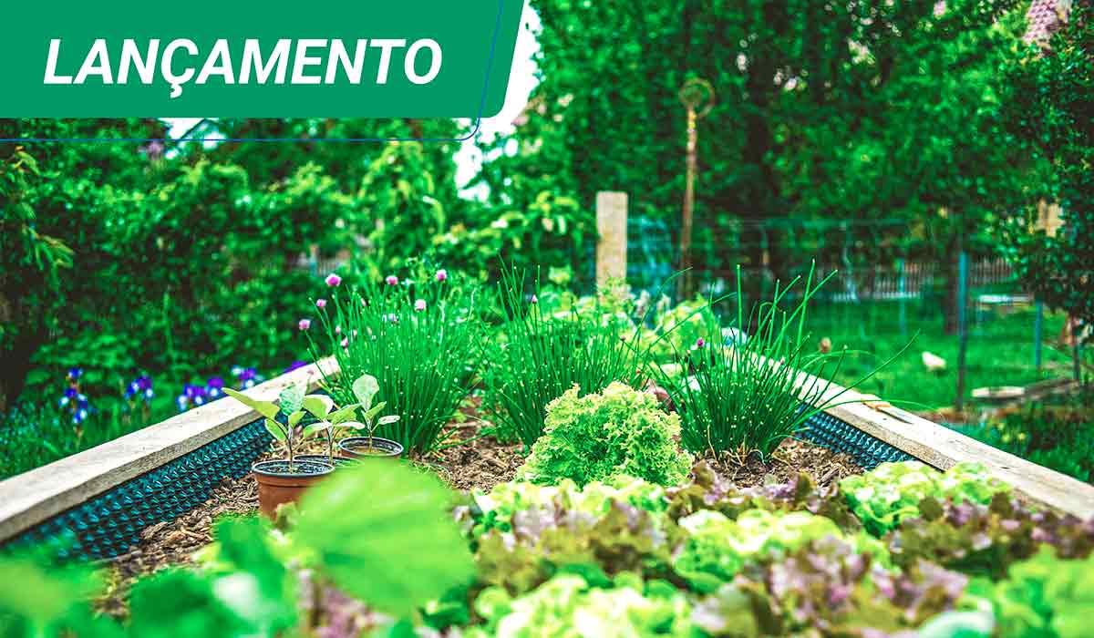 Agricultura urbana ganha força com capacitação técnica e foco em segurança alimentar