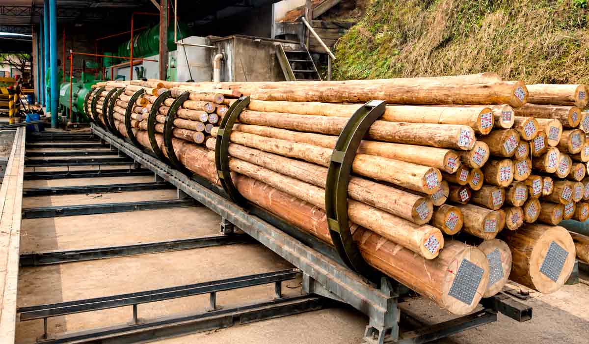 Toras de eucalipto preparadas para serem submetidas ao processo de tratamento em autoclave que confere à madeira propriedades excepcionais de resistência e imunidade a agentes de deterioração Toras de eucalipto preparadas para serem submetidas ao processo de tratamento em autoclave que confere à madeira propriedades excepcionais de resistência e imunidade a agentes de deterioração