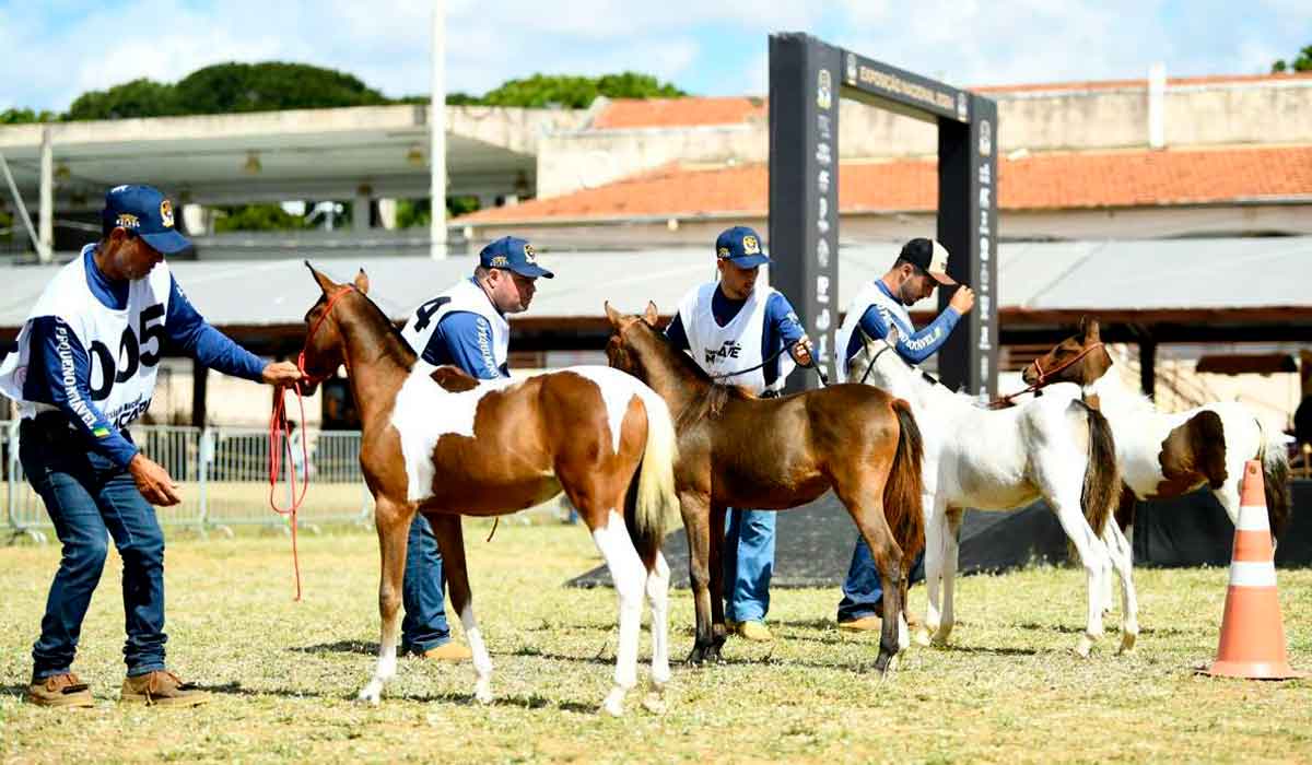Lagoa Dourada recebe a maior Nacional do Piquira dos últimos anos Lagoa Dourada recebe a maior Nacional do Piquira dos últimos anos