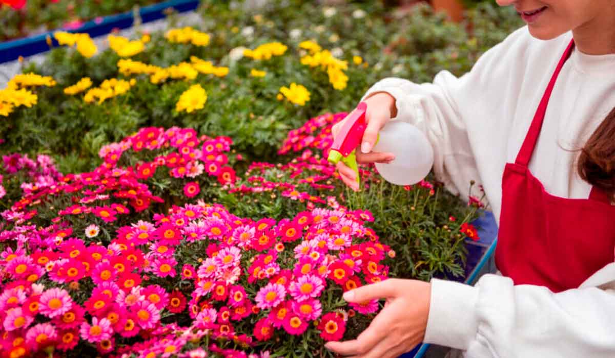 A feira apresenta as maiores inovações em cultivares, tecnologia e cultivo protegido para o mercado de flores e plantas ornamentais A feira apresenta as maiores inovações em cultivares, tecnologia e cultivo protegido para o mercado de flores e plantas ornamentais