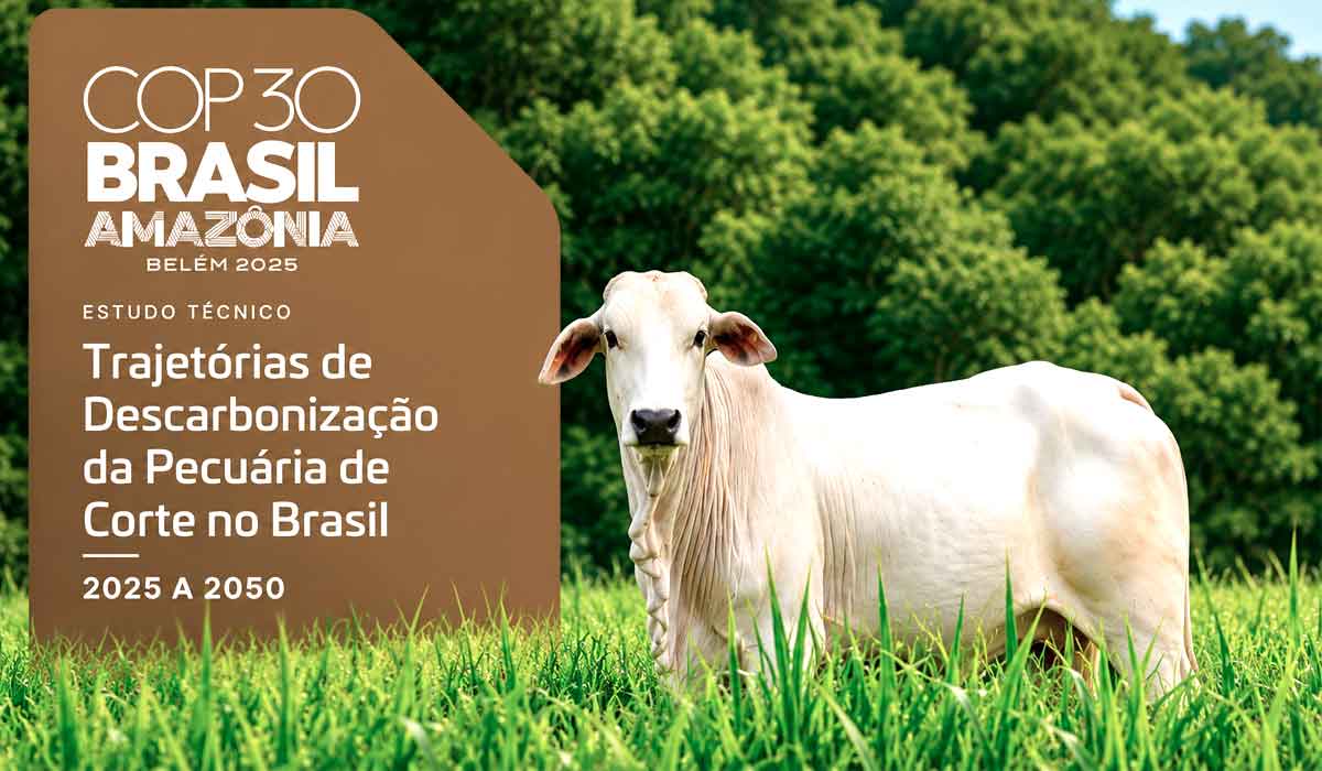 Ciência embasa a sustentabilidade da carne brasileira, reforçando papel estratégico do agronegócio nacional Ciência embasa a sustentabilidade da carne brasileira, reforçando papel estratégico do agronegócio nacional