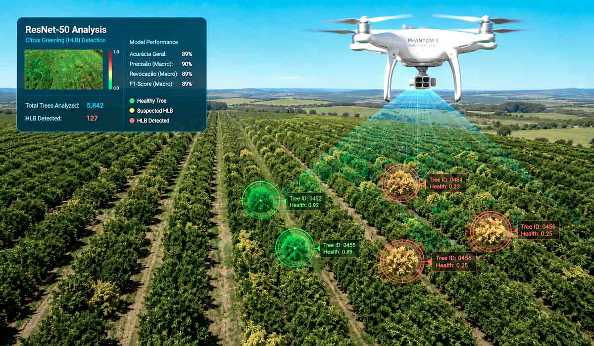 Detecção precoce reduz perdas econômicas na produção e mapas digitais orientam ações localizadas no pomar Detecção precoce reduz perdas econômicas na produção e mapas digitais orientam ações localizadas no pomar