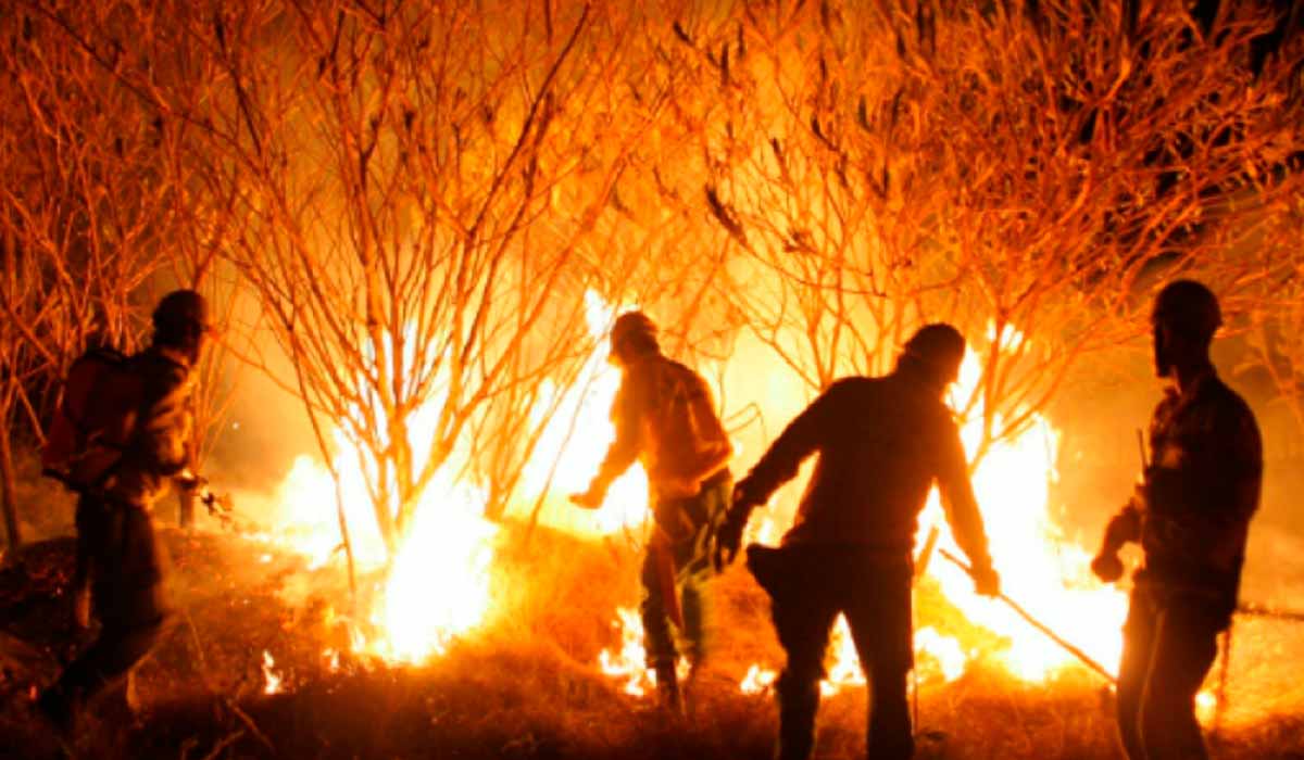 Brigadas rurais auxiliam nas primeiras ações de contenção e o Corpo de Bombeiros deve ser acionado imediatamente pelo 193 Brigadas rurais auxiliam nas primeiras ações de contenção e o Corpo de Bombeiros deve ser acionado imediatamente pelo 193