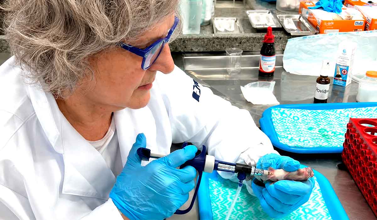 Projeto reúne instituições de excelência em pesquisa que busca reduzir o uso de antibióticos na tilapicultura Projeto reúne instituições de excelência em pesquisa que busca reduzir o uso de antibióticos na tilapicultura