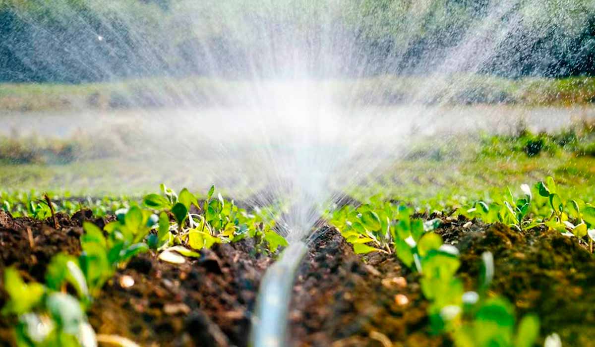 Irrigação amplia a segurança produtiva em diferentes regiões, gerando renda e empregos no meio rural Irrigação amplia a segurança produtiva em diferentes regiões, gerando renda e empregos no meio rural