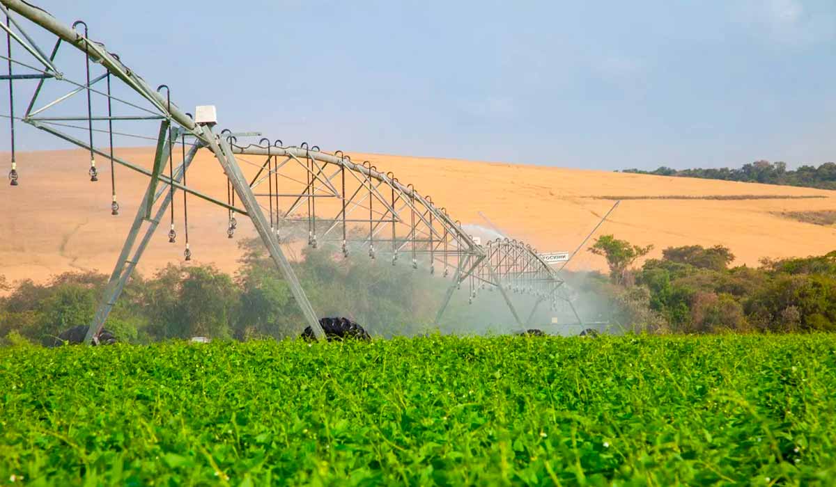 Potencial irrigável brasileiro ainda está longe de ser explorado, mas irrigação avança como resposta aos desafios climáticos no campo Potencial irrigável brasileiro ainda está longe de ser explorado, mas irrigação avança como resposta aos desafios climáticos no campo