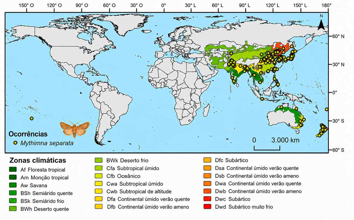 Registros de ocorrência de Mythimna separata obtidos na literatura e no banco de dados Global Biodiversity Information Facility (GBIF), sobrepostos às zonas climáticas de Köppen-Geiger utilizadas como plano de fundo no processo de modelagem Registros de ocorrência de Mythimna separata obtidos na literatura e no banco de dados Global Biodiversity Information Facility (GBIF), sobrepostos às zonas climáticas de Köppen-Geiger utilizadas como plano de fundo no processo de modelagem