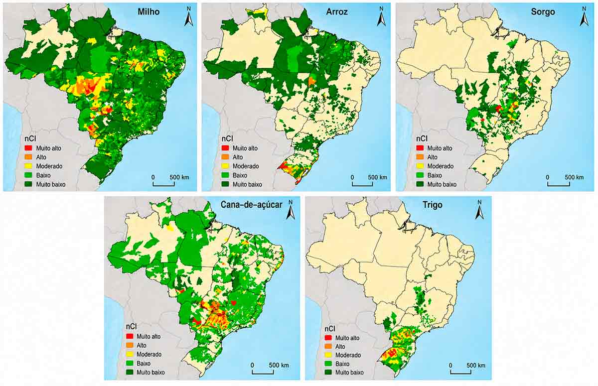 Índice de Concentração Normalizada (nCI) para milho, arroz, sorgo, cana-de-açúcar e trigo em municípios brasileiros. As classes de nCI foram derivadas utilizando o método de quebras naturais (Jenks), com intervalos rotulados para refletir a distribuição contínua dos dados Índice de Concentração Normalizada (nCI) para milho, arroz, sorgo, cana-de-açúcar e trigo em municípios brasileiros. As classes de nCI foram derivadas utilizando o método de quebras naturais (Jenks), com intervalos rotulados para refletir a distribuição contínua dos dados