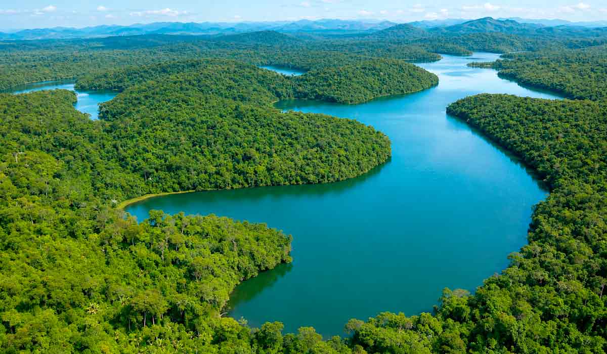 Café e cacau ganham espaço em modelos sustentáveis e restauração florestal impulsiona novas oportunidades econômicas sustentáveis Café e cacau ganham espaço em modelos sustentáveis e restauração florestal impulsiona novas oportunidades econômicas sustentáveis