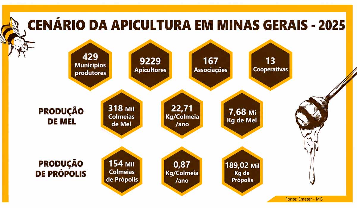 Cenário da apicultura em Minas Gerais - 2025 Cenário da apicultura em Minas Gerais - 2025