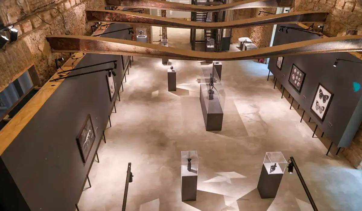 Museu reforça compromisso com ciência e educação e exposições temporárias marcam reencontro do público com a ciência e a arte - Foto: Diogo Vasconcellos Museu reforça compromisso com ciência e educação e exposições temporárias marcam reencontro do público com a ciência e a arte - Foto: Diogo Vasconcellos