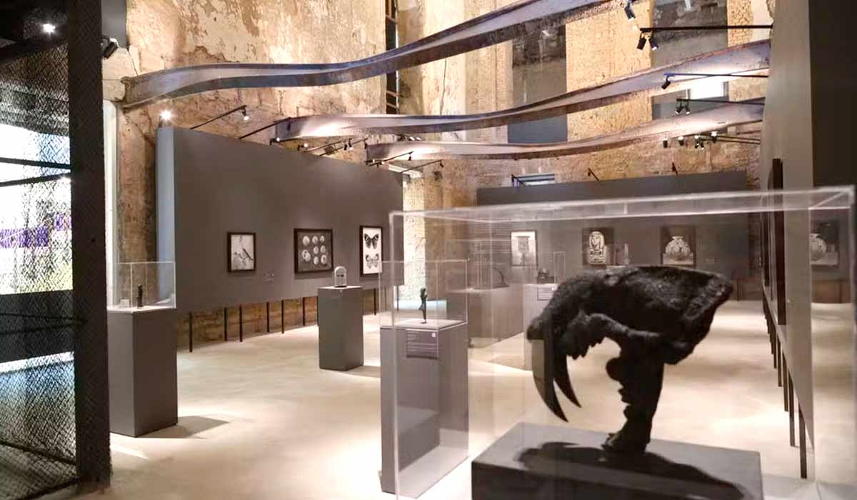 Sala das Vigas, onde começou o incêndio que destruiu o Museu Nacional. Os arquitetos decidiram preservar as vigas como um monumento à violência das chamas e à resiliência da instituição - Foto: Diogo Vasconcellos Sala das Vigas, onde começou o incêndio que destruiu o Museu Nacional. Os arquitetos decidiram preservar as vigas como um monumento à violência das chamas e à resiliência da instituição - Foto: Diogo Vasconcellos