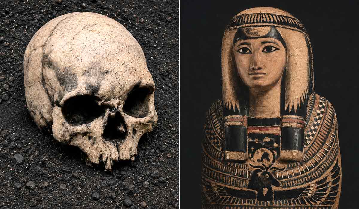Cinzas do incêndio do Museu Nacional reproduzem peças da instituição. Um dos crânios de Luzia e o sarcófago de Sha-Amun-en-su, feitos com cinzas por Vik Muniz Cinzas do incêndio do Museu Nacional reproduzem peças da instituição. Um dos crânios de Luzia e o sarcófago de Sha-Amun-en-su, feitos com cinzas por Vik Muniz