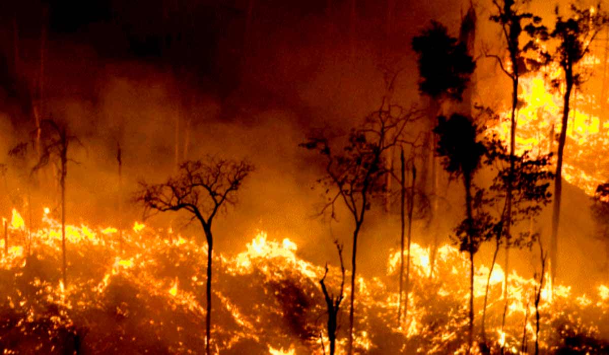 Planejamento aumenta a capacidade de resposta da propriedade aos incêndios