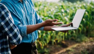 Inteligência Artificial amplia a eficiência da gestão agrícola