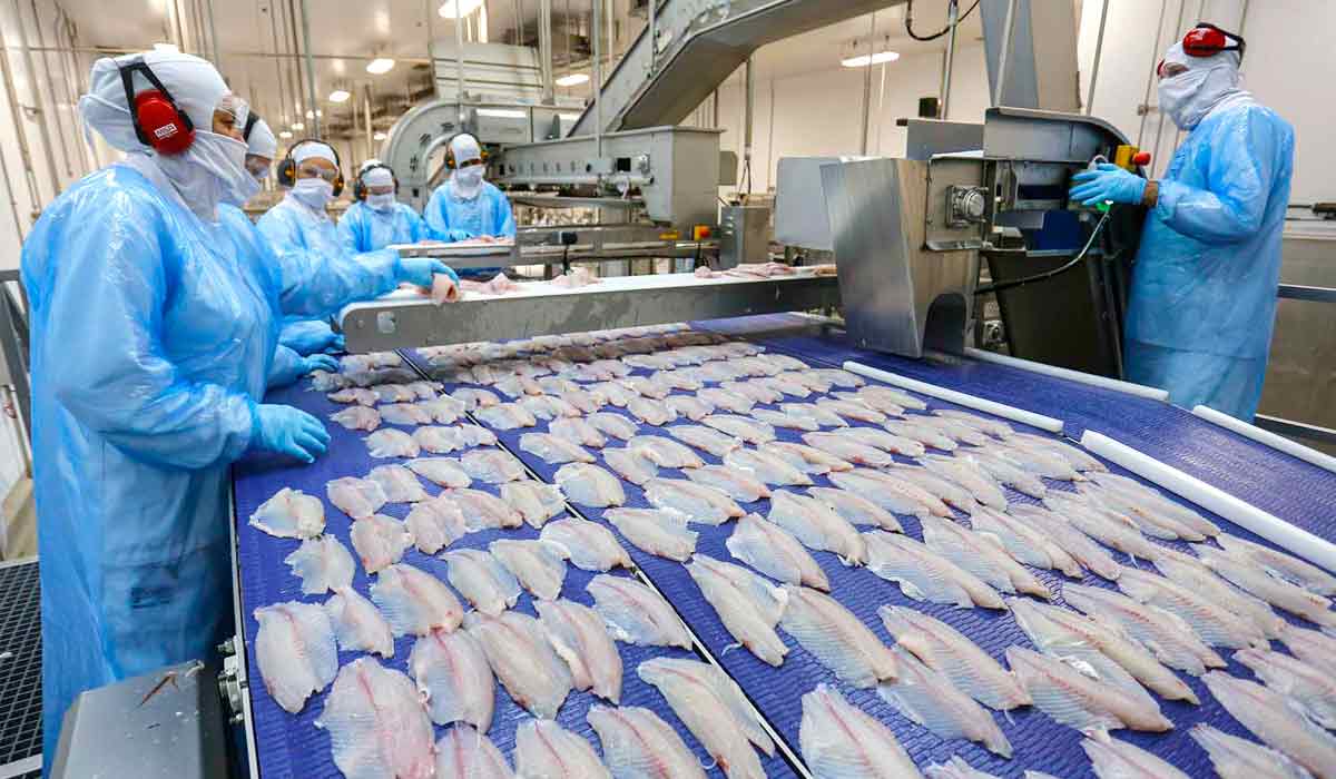 Tributação busca fortalecer a competitividade da tilapicultura nacional que comemora a medida voltada ao equilíbrio do mercado de pescado Tributação busca fortalecer a competitividade da tilapicultura nacional que comemora a medida voltada ao equilíbrio do mercado de pescado