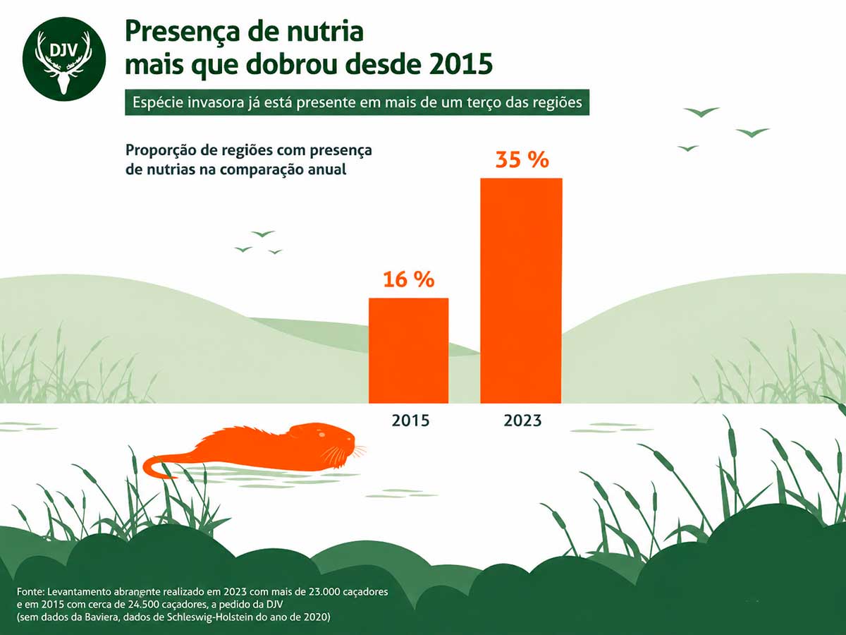A espécie chegou à europa por meio da indústria de peles e o manejo busca reduzir impactos ambientais e riscos de enchentes A espécie chegou à europa por meio da indústria de peles e o manejo busca reduzir impactos ambientais e riscos de enchentes