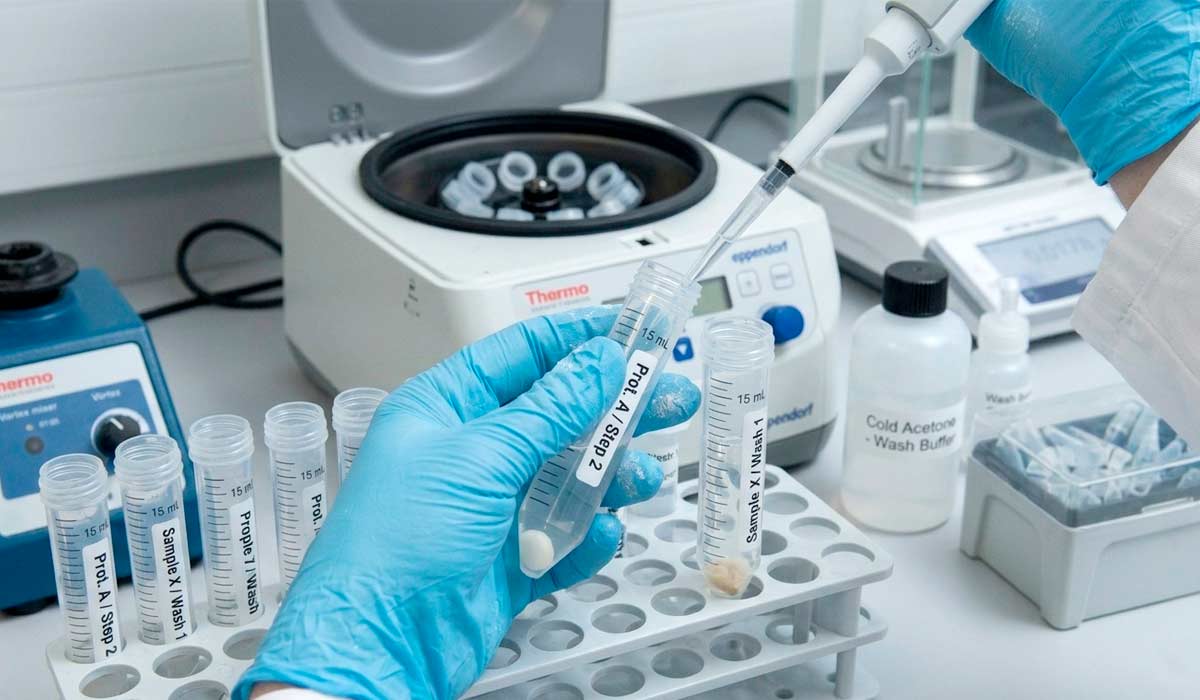 Etapa de centrifugação e lavagem do precipitado de proteína nos tubos falcon para serem levados para o espectômetro Etapa de centrifugação e lavagem do precipitado de proteína nos tubos falcon para serem levados para o espectômetro