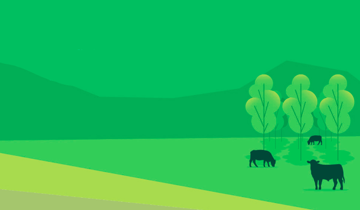 Obra destaca a ILPF como caminho para produtividade e sustentabilidade no agro