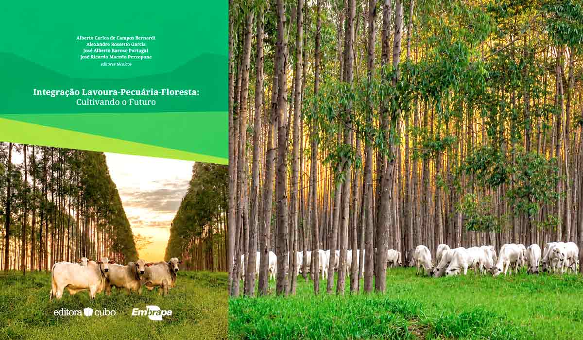 Integração recupera áreas de pastagens degradadas e amplia produtividade com conservação ambiental Integração recupera áreas de pastagens degradadas e amplia produtividade com conservação ambiental