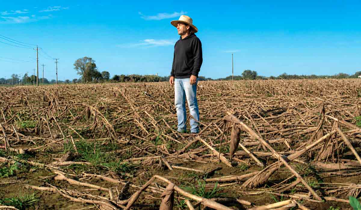 Proposta une recuperação ambiental, produção rural e adaptação às mudanças climáticas, com prioridade para matas ciliares e solos agrícolas Proposta une recuperação ambiental, produção rural e adaptação às mudanças climáticas, com prioridade para matas ciliares e solos agrícolas