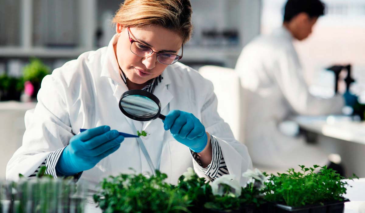 Especialistas discutem soluções para os desafios da sanidade vegetal brasileira