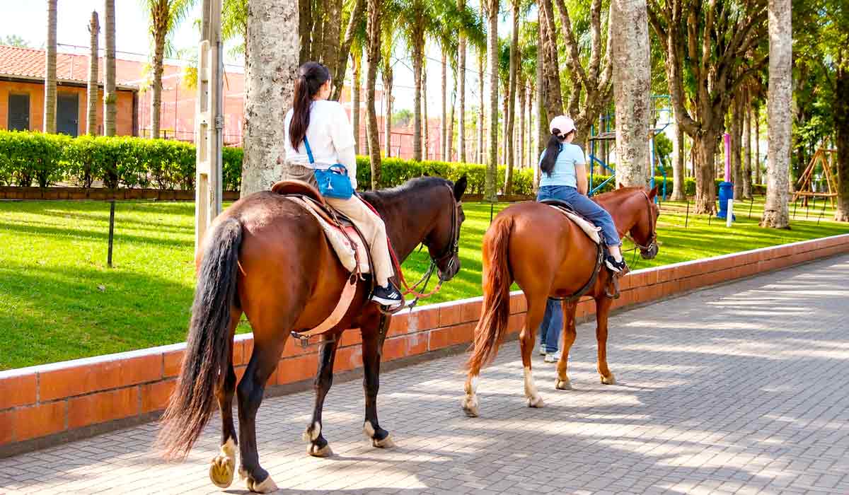 Crianças, adultos e amantes da natureza a viver três dias de imersão no universo rural, com atrações que aproximam o campo da cidade de forma divertida, educativa e interativa Crianças, adultos e amantes da natureza a viver três dias de imersão no universo rural, com atrações que aproximam o campo da cidade de forma divertida, educativa e interativa