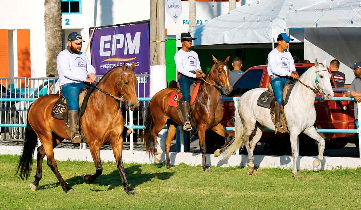 A feira une tradição, negócios e desenvolvimento econômico, mostrando a riqueza agropecuária da Região Serrana do Rio de Janeiro A feira une tradição, negócios e desenvolvimento econômico, mostrando a riqueza agropecuária da Região Serrana do Rio de Janeiro