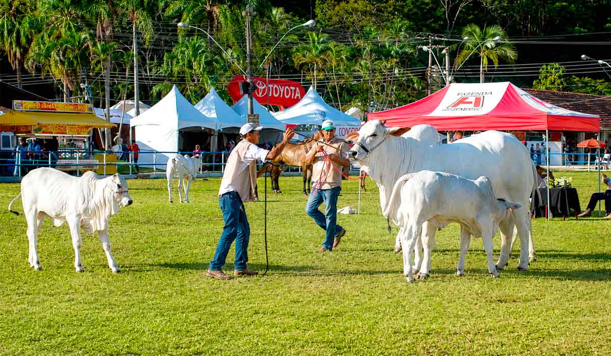 A exposição nasceu para incentivar o desenvolvimento da agricultura e da pecuária na Região Serrana fluminense A exposição nasceu para incentivar o desenvolvimento da agricultura e da pecuária na Região Serrana fluminense
