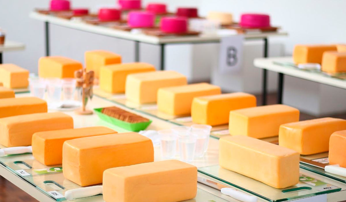 Concurso nacional reconhece excelência em produtos lácteos Concurso nacional reconhece excelência em produtos lácteos