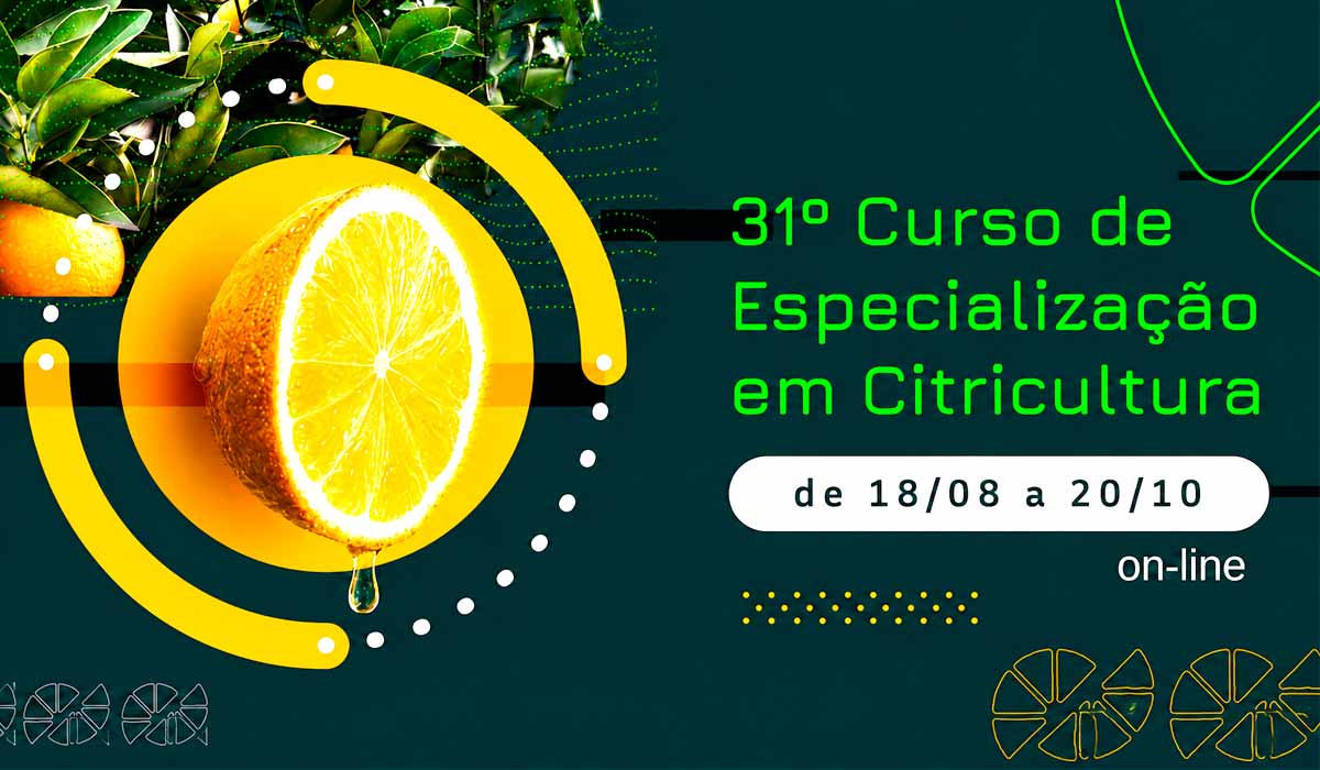 Curso do IAC conecta inovação, pesquisa e produção de citros