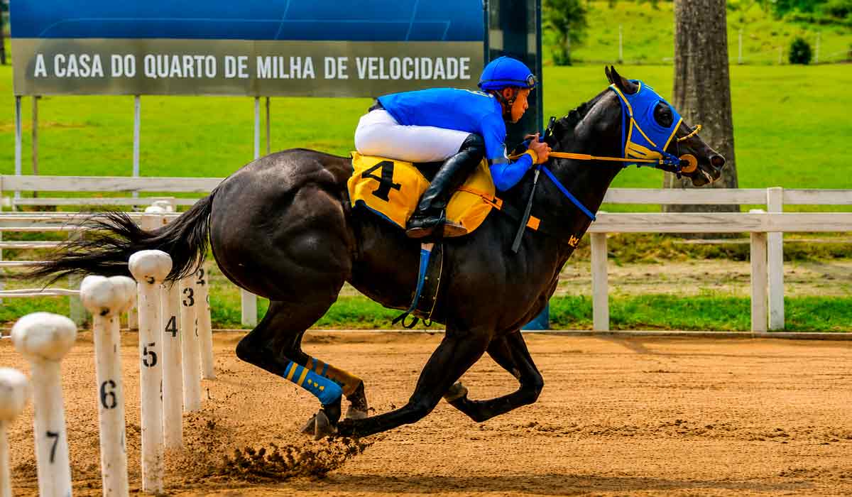 Hipódromo de Sorocaba é referência em corridas de velocidade, tradicionalmente conhecido como principal centro de corridas de velocidade do Cavalo Quarto de Milha na América Latina Hipódromo de Sorocaba é referência em corridas de velocidade, tradicionalmente conhecido como principal centro de corridas de velocidade do Cavalo Quarto de Milha na América Latina