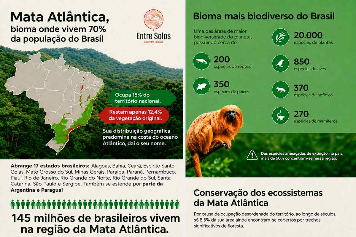 Mudanças legislativas podem influenciar produtores e gestão ambiental com novos projetos que atualizam regras sobre fiscalização, uso do solo e conservação ambiental em vários biomas com destaque para a Mata Atlântica Mudanças legislativas podem influenciar produtores e gestão ambiental com novos projetos que atualizam regras sobre fiscalização, uso do solo e conservação ambiental em vários biomas com destaque para a Mata Atlântica