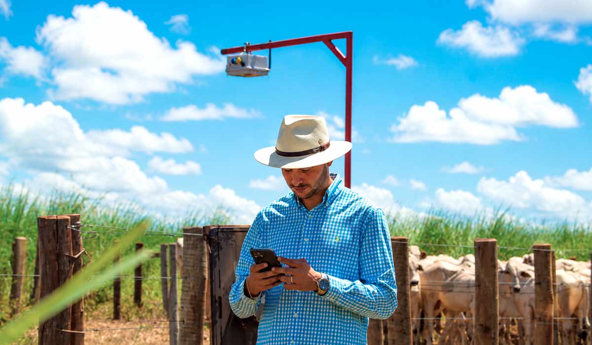 Tecnologia brasileira pesa bovinos no pasto com inteligência artificial e alta precisão Tecnologia brasileira pesa bovinos no pasto com inteligência artificial e alta precisão