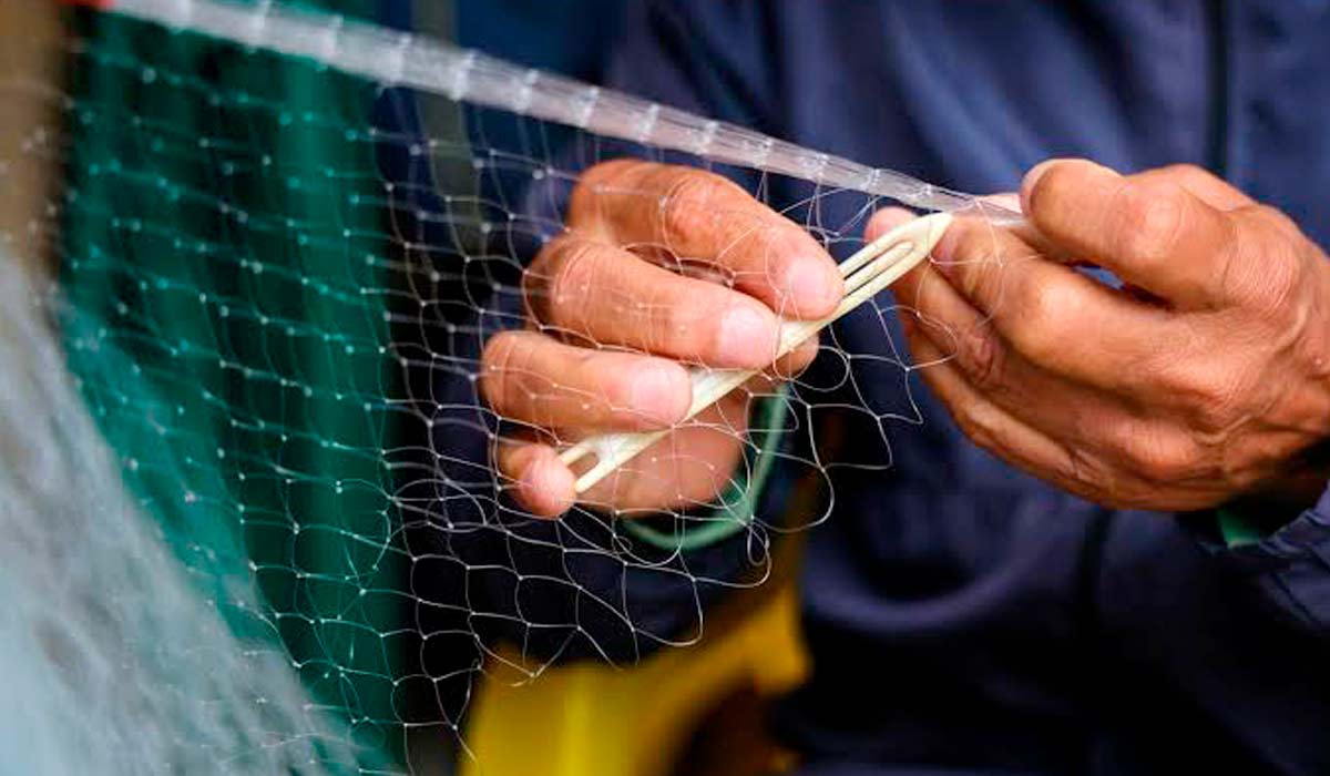 Pescadores familiares passam a integrar programa oficial de crédito com o Pronaf Azul que amplia acesso ao crédito para pesca e aquicultura Pescadores familiares passam a integrar programa oficial de crédito com o Pronaf Azul que amplia acesso ao crédito para pesca e aquicultura