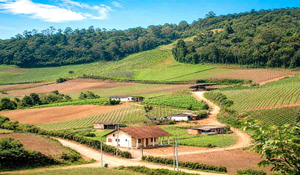 Regularização fundiária passa por atualização normativa com modernização da gestão fundiária nacional Regularização fundiária passa por atualização normativa com modernização da gestão fundiária nacional