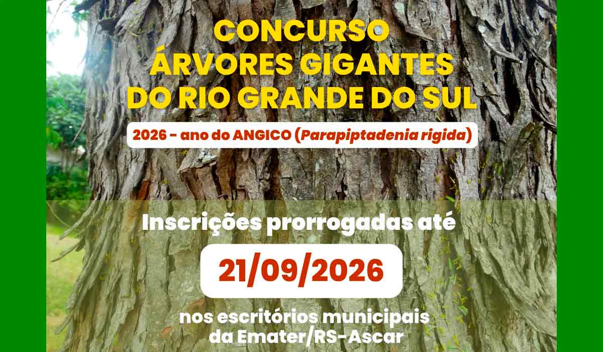 Concurso identifica os maiores angicos e valoriza o patrimônio florestal gaúcho, mobilizando produtores e pesquisadores de todo o estado Concurso identifica os maiores angicos e valoriza o patrimônio florestal gaúcho, mobilizando produtores e pesquisadores de todo o estado