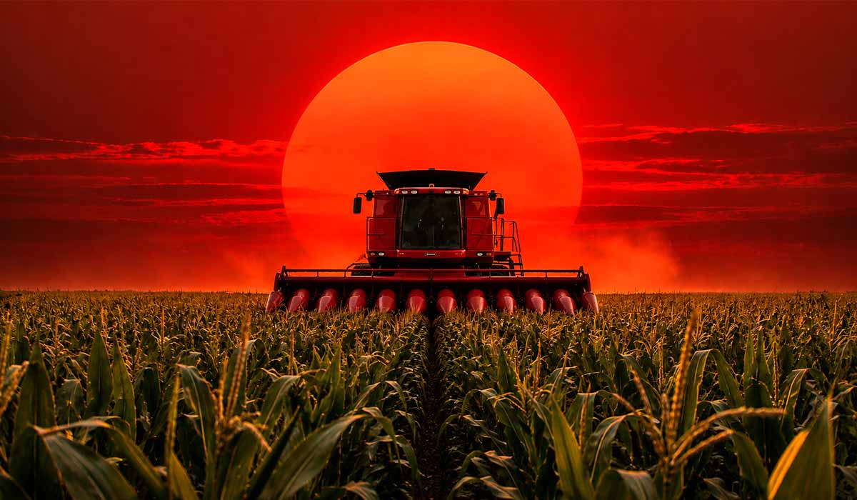 Agricultura americana enfrenta forte pressão sobre custos e rentabilidade
