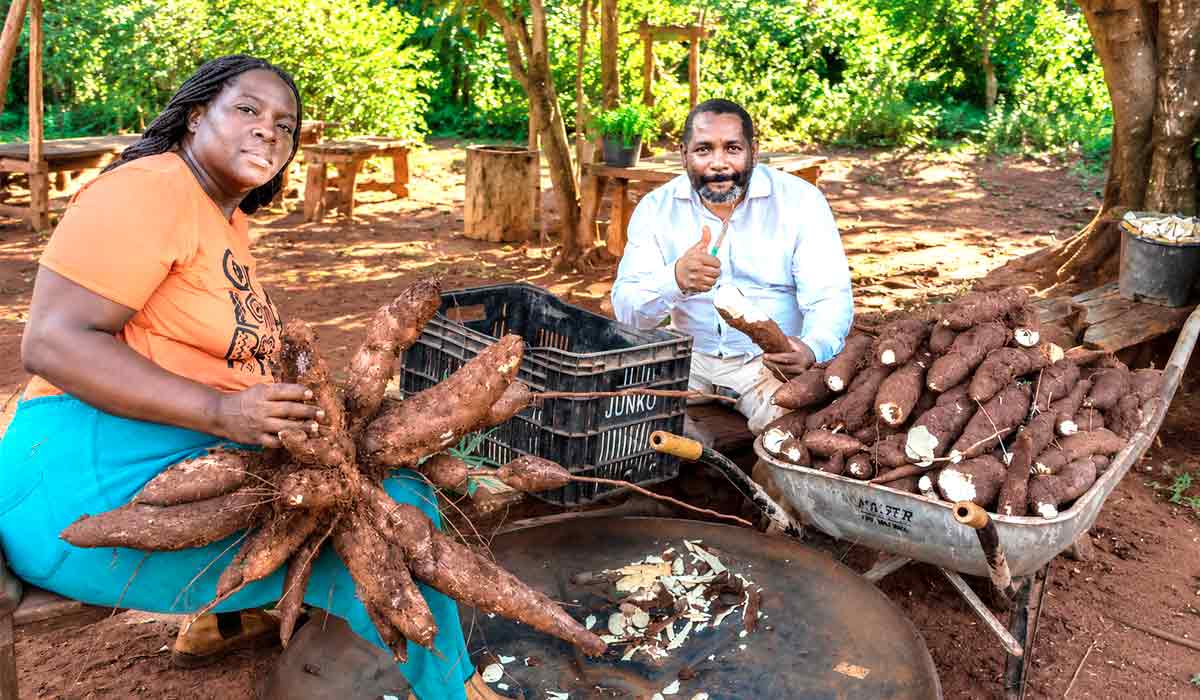 A propriedade do agricultor familiar Sinval Martins dos Santos tornou-se uma URT do Sistema Appia. Com as orientações recebidas e a implantação das tecnologias, a família diversificou a produção, aumentou a oferta de alimentos a partir do planejamento, estruturação e gestão do negócio agrícola A propriedade do agricultor familiar Sinval Martins dos Santos tornou-se uma URT do Sistema Appia. Com as orientações recebidas e a implantação das tecnologias, a família diversificou a produção, aumentou a oferta de alimentos a partir do planejamento, estruturação e gestão do negócio agrícola