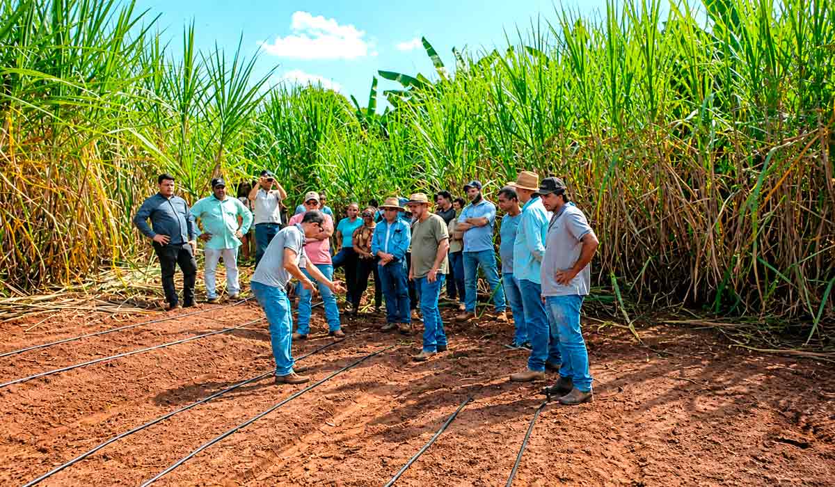 O projeto na Comunidade Quilombola Furnas do Dionísio conta com um sistema de irrigação por gotejamento para a horta e o pomar, aumentando a eficiência no uso da água O projeto na Comunidade Quilombola Furnas do Dionísio conta com um sistema de irrigação por gotejamento para a horta e o pomar, aumentando a eficiência no uso da água