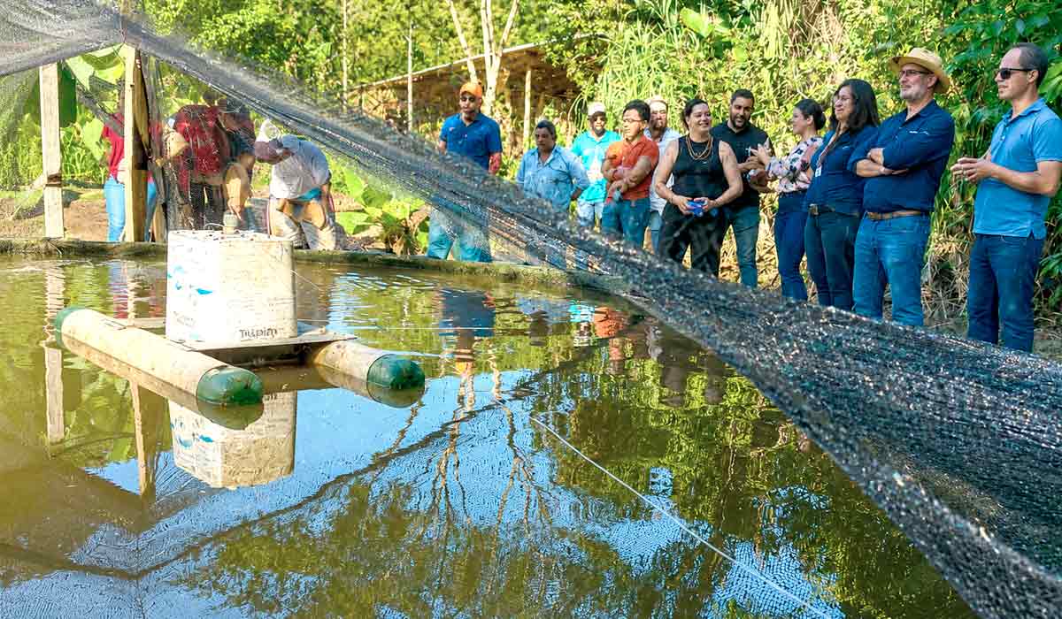 Tanque do Sisteminha, tecnlogia social voltada à piscicultura, que faz parte do Sistema Appia