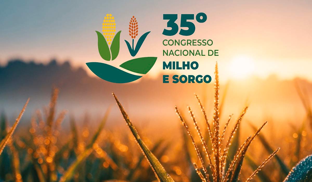 Congresso reúne especialistas para discutir os novos desafios da produção de milho e sorgo