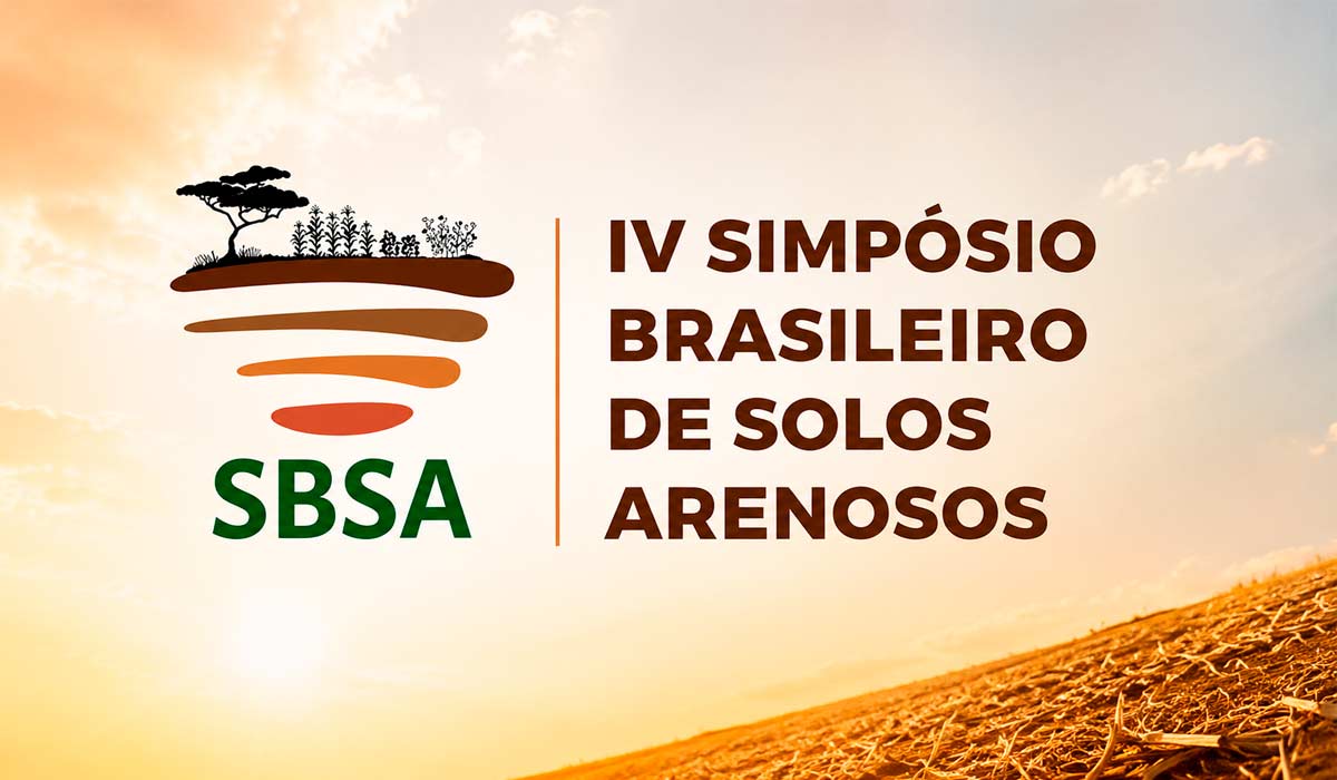 Solos arenosos entram no centro da agenda estratégica do agronegócio brasileiro
