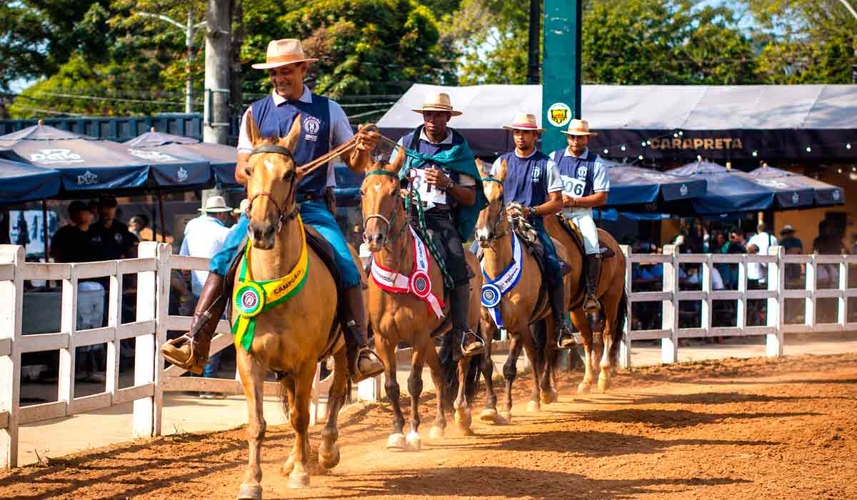 Exposição Especializada de reúne elite do Cavalo Campolina e antecipa expectativas para a Nacional Exposição Especializada de reúne elite do Cavalo Campolina e antecipa expectativas para a Nacional