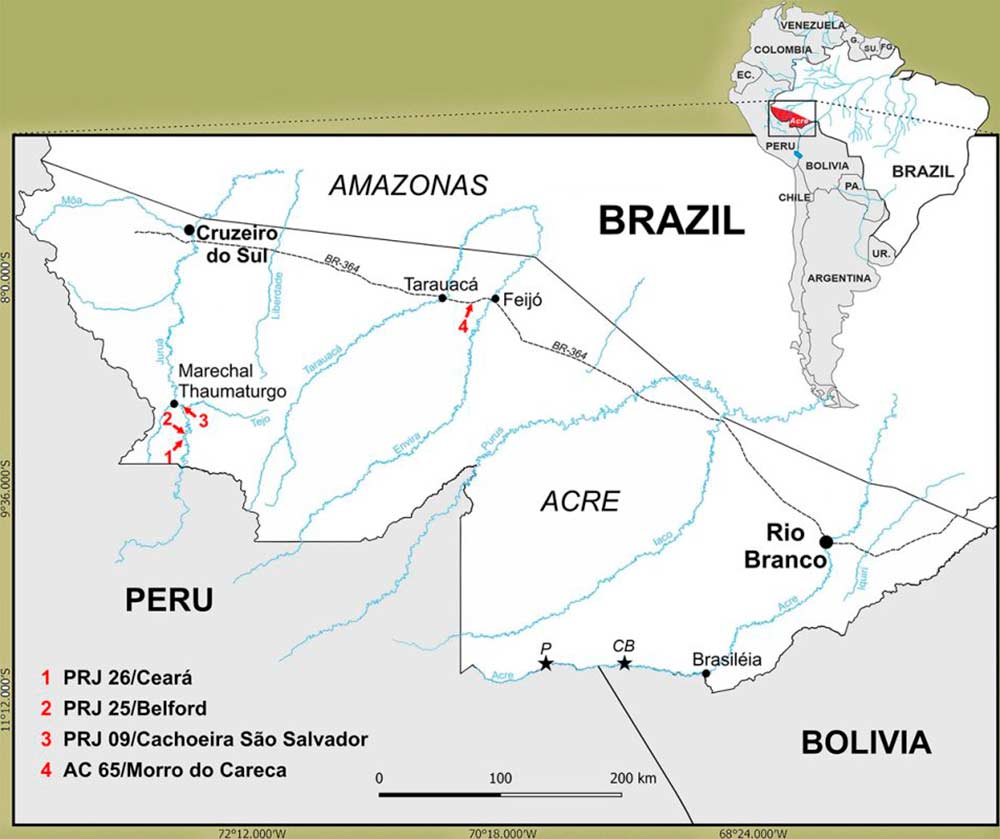 Mapa de sítios paleontológicos no Acre onde os fósseis foram encontrados em quatro localidades associadas à Formação Solimões - Três situam-se às margens do alto curso do Rio Juruá (PRJ 09, PRJ 25 e PRJ 26), no município de Marechal Thaumaturgo, e uma (AC 65, Morro do Careca) localiza-se ao longo da rodovia BR-364, entre Tarauacá e Feijó Mapa de sítios paleontológicos no Acre onde os fósseis foram encontrados em quatro localidades associadas à Formação Solimões - Três situam-se às margens do alto curso do Rio Juruá (PRJ 09, PRJ 25 e PRJ 26), no município de Marechal Thaumaturgo, e uma (AC 65, Morro do Careca) localiza-se ao longo da rodovia BR-364, entre Tarauacá e Feijó