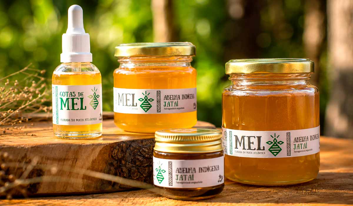 Mel de jataí. Produtos das abelhas sem ferrão conquistam nichos interessados em origem e identidade regional Mel de jataí. Produtos das abelhas sem ferrão conquistam nichos interessados em origem e identidade regional