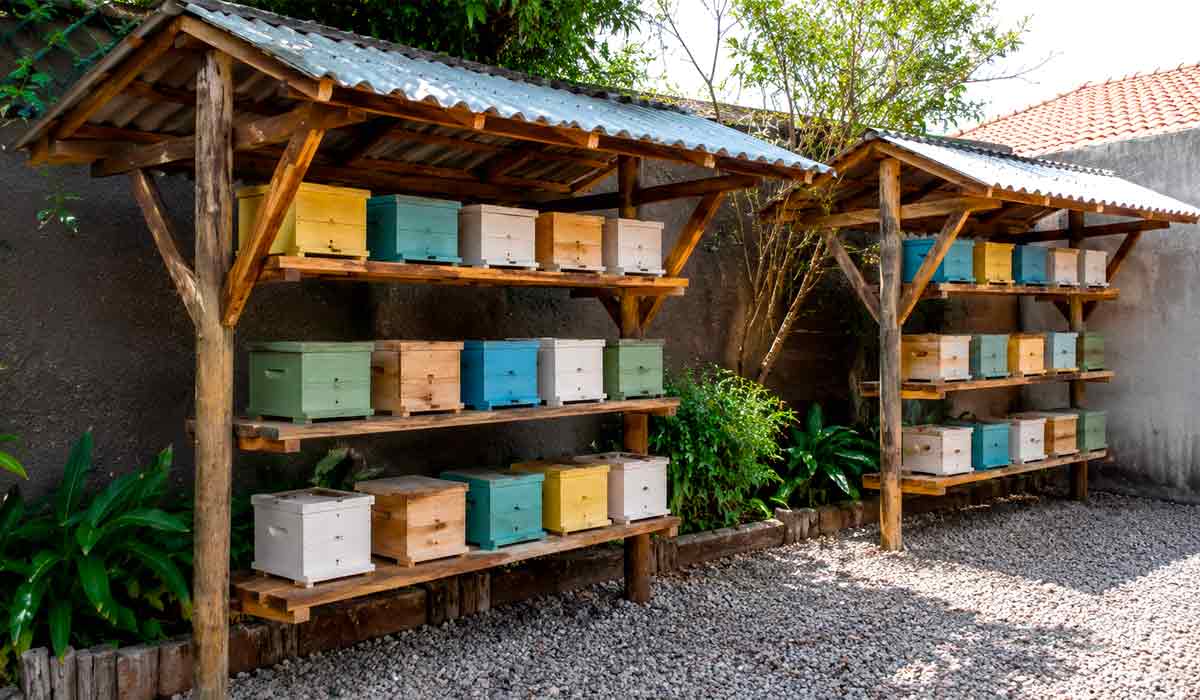 Meliponários urbanos exigem manejo técnico e atenção à aplicação de inseticidas Meliponários urbanos exigem manejo técnico e atenção à aplicação de inseticidas