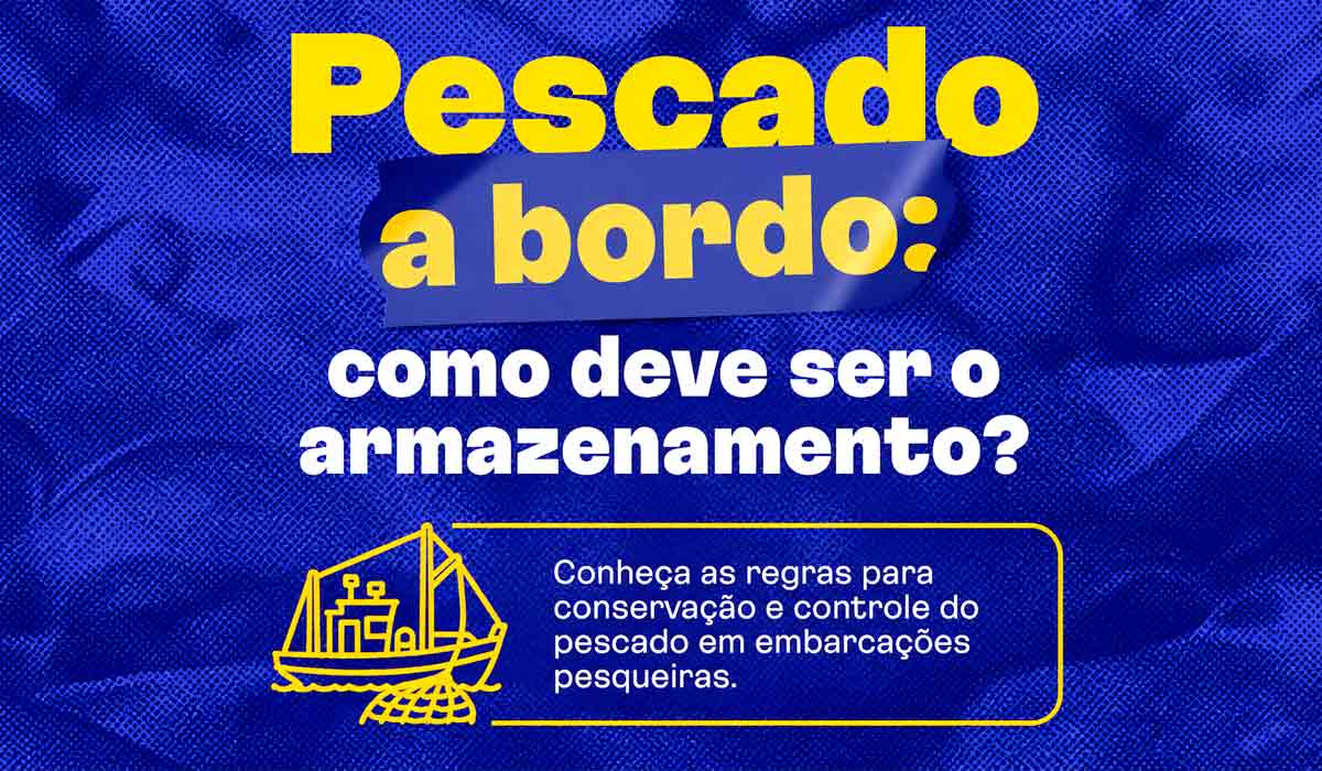 Novas regras estabelecem critérios para conservação de pescado durante o transporte em embarcações
