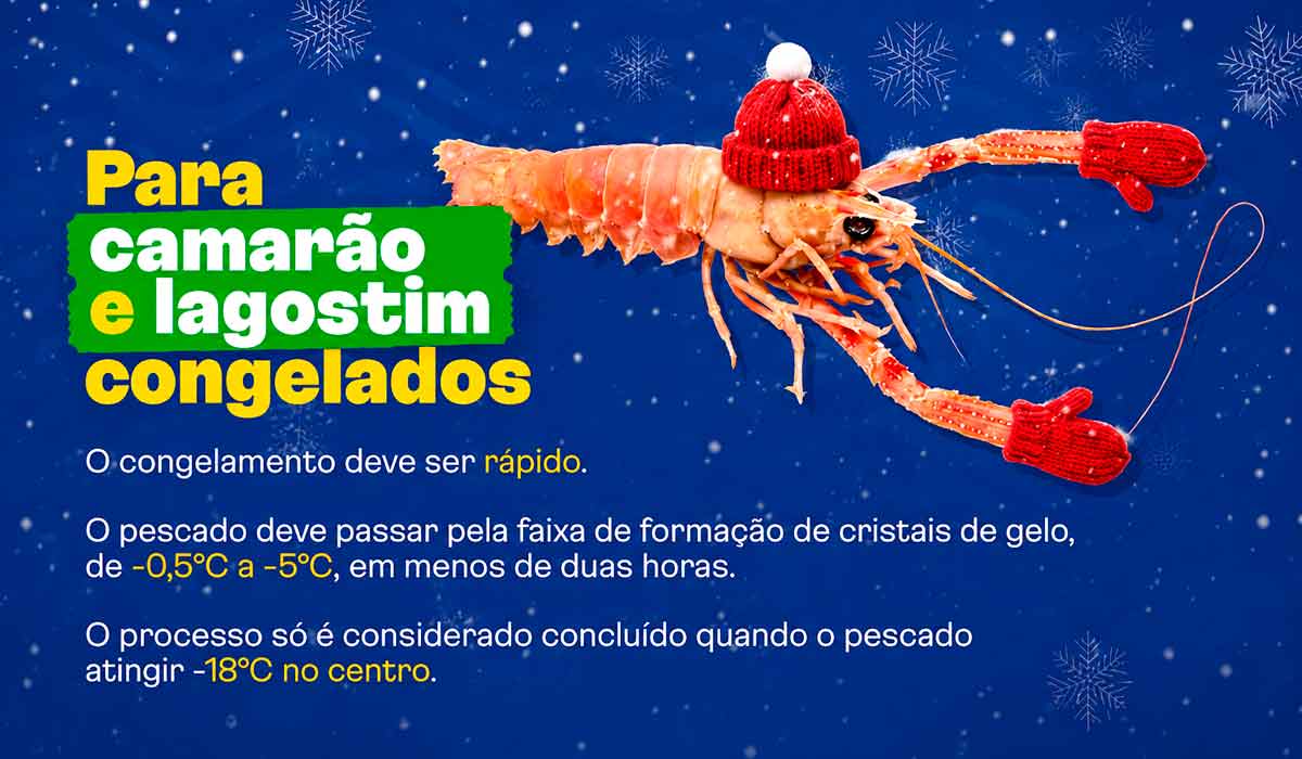 Camarão e lagostim passam a ter parâmetros específicos para congelamento realizado a bordo. Congelamento rápido reduz riscos e ajuda a preservar as características do produto Camarão e lagostim passam a ter parâmetros específicos para congelamento realizado a bordo. Congelamento rápido reduz riscos e ajuda a preservar as características do produto