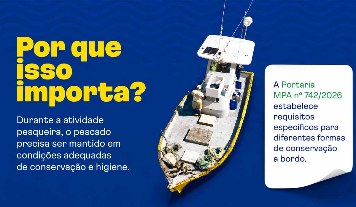 Conservação adequada começa ainda na embarcação e influencia o valor da matéria-prima Conservação adequada começa ainda na embarcação e influencia o valor da matéria-prima